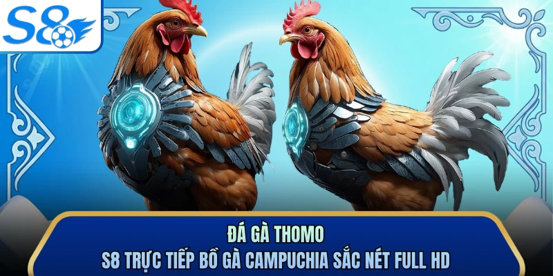 Đá Gà Thomo - S8 Trực Tiếp Bồ Gà Campuchia Sắc Nét Full Hd